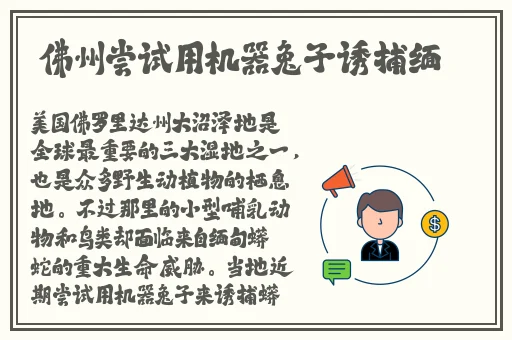 夜晚禁用十大软件.